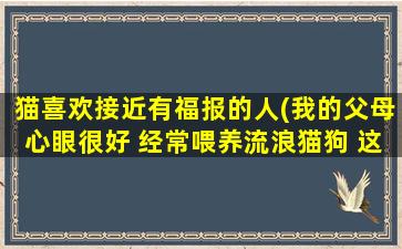 猫喜欢接近有福报的人(我的父母心眼很好 经常喂养流浪猫狗 这样的人会有好报嘛)